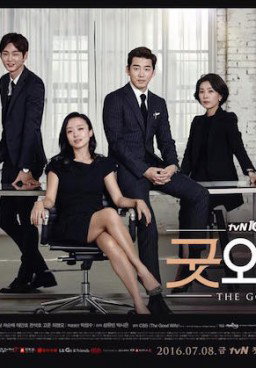The Good Wife
