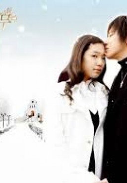 Tree of Heaven Home
